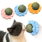 Wall-mounted catnip ball