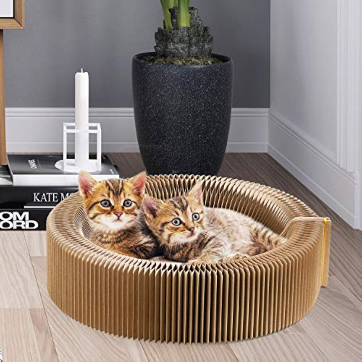 Griffoir-lit rond pliable en carton pour chat