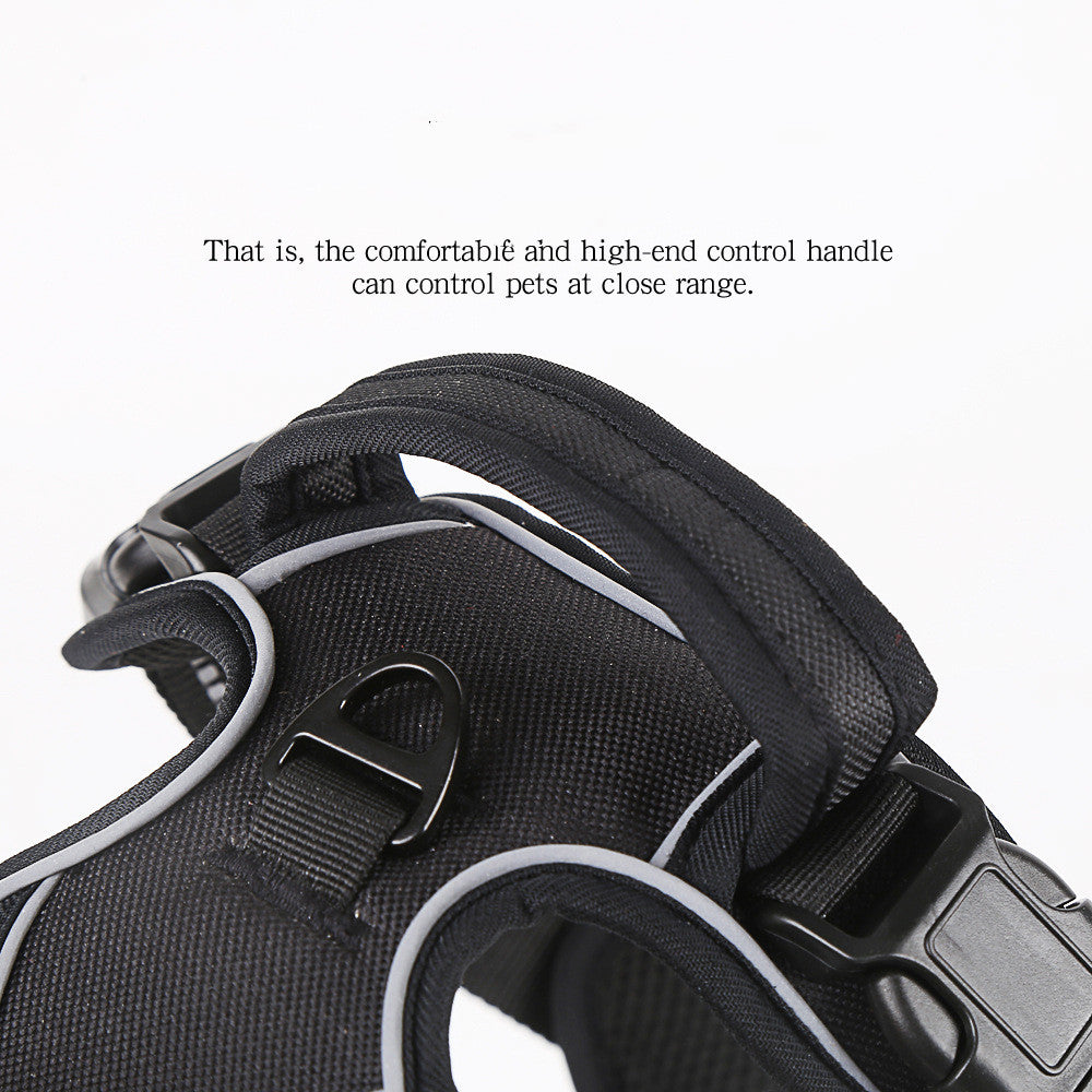 Harness reflective strips
