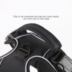 Harness reflective strips