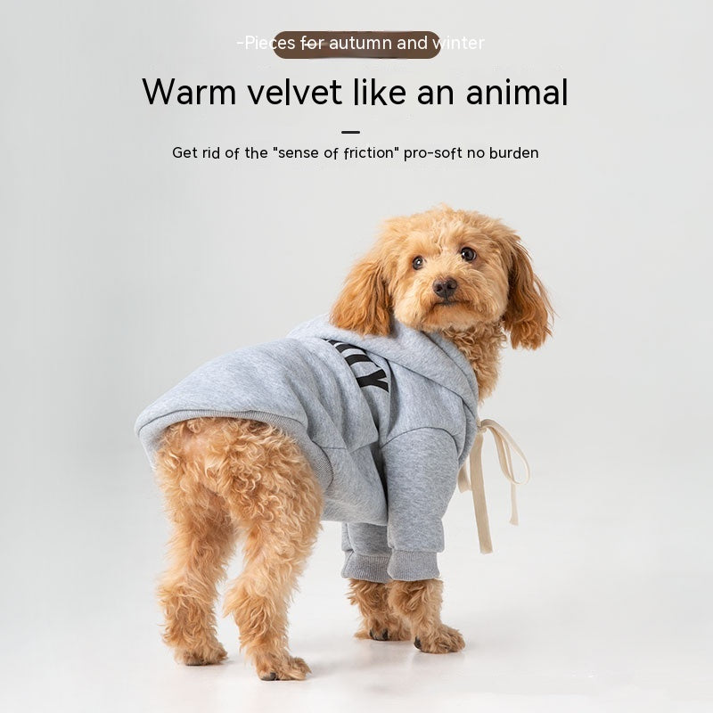 Chandail à capuchon doublé pour chien