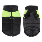 Veste matelassée pour chien, vert