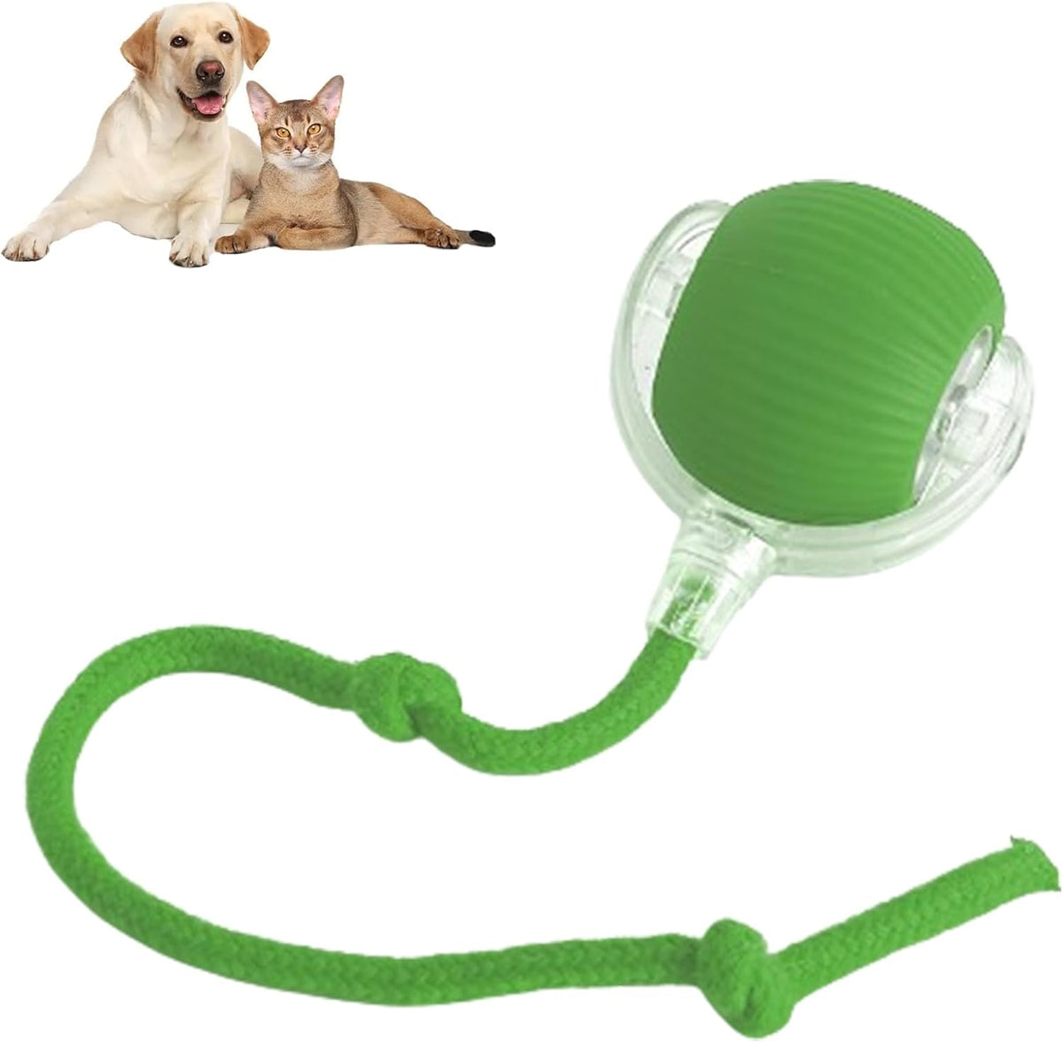 Balle interactive à corde pour chien et chat