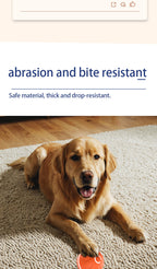 Balle rebondissante intelligente pour chien
