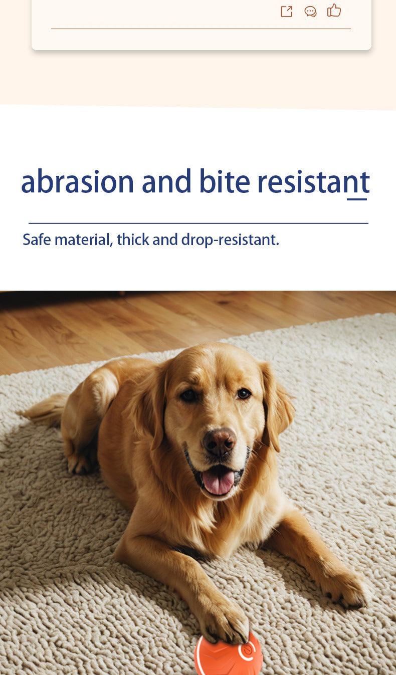 Balle rebondissante intelligente pour chien
