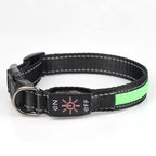 LED light-up collar, colours