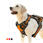 Dog wearing the no-pull harness