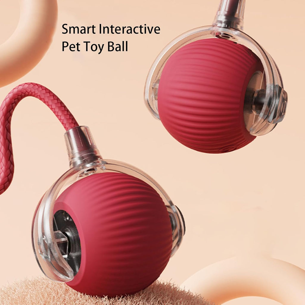Interactive rope ball for dogs and cats