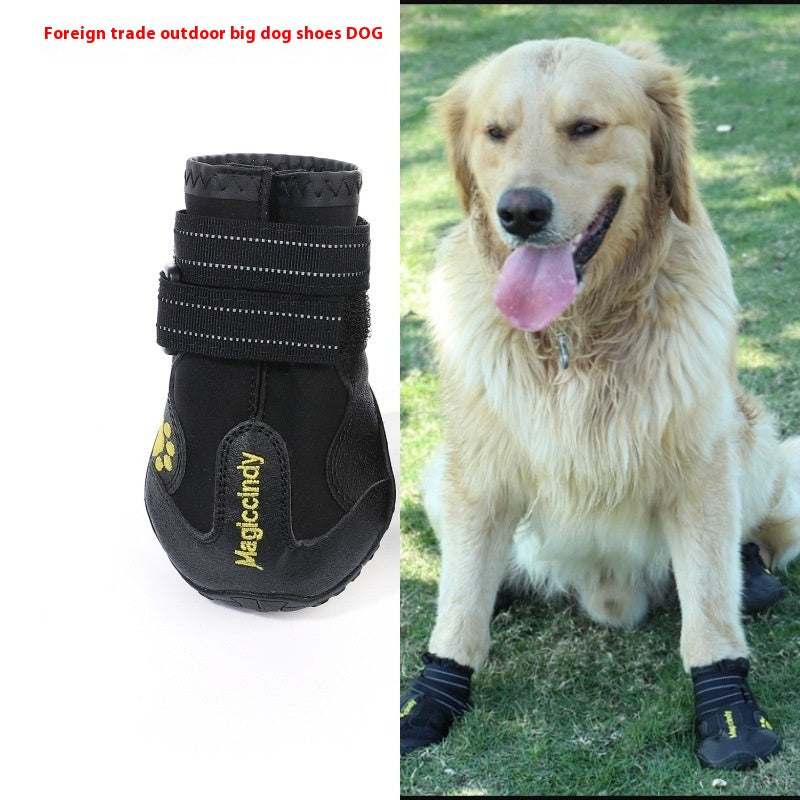 Chien portant les bottes de randonnée