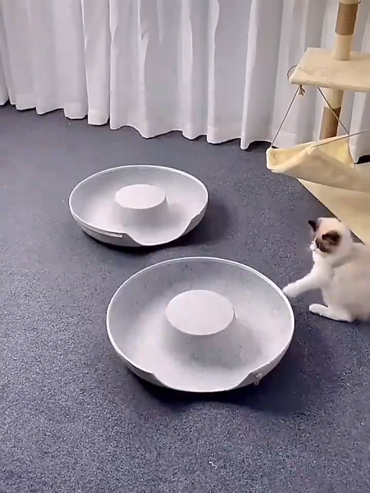 Grotte en feutre pour chat