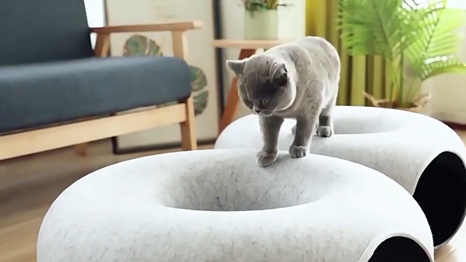Chat dans la grotte en feutre