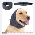 Dog wearing the grey neck warmer