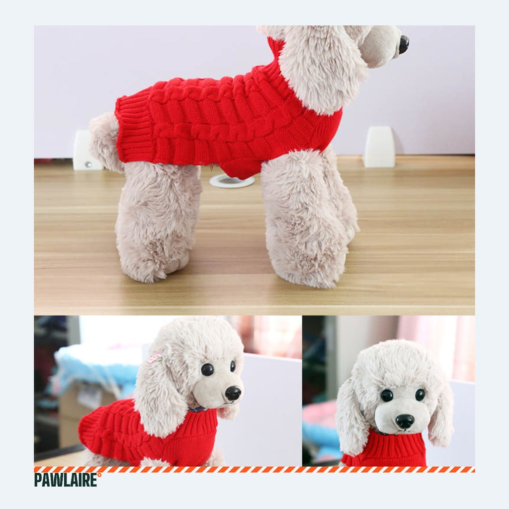Petit chien portant le pull en tricot rouge