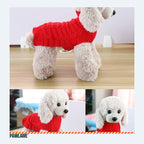 Petit chien portant le pull en tricot rouge
