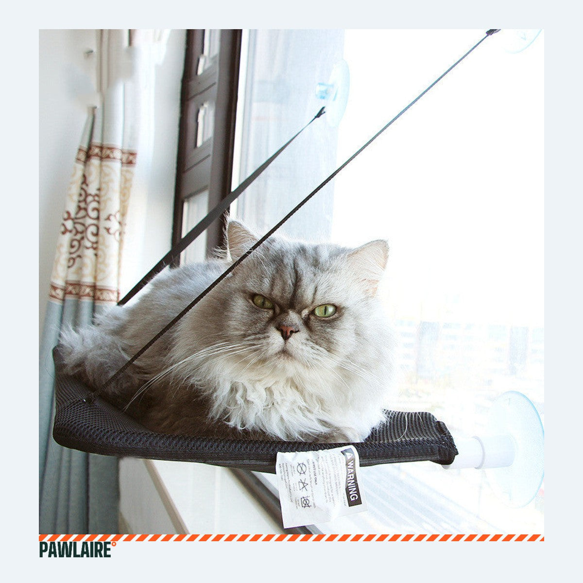 Chat couché dans le hamac de fenêtre