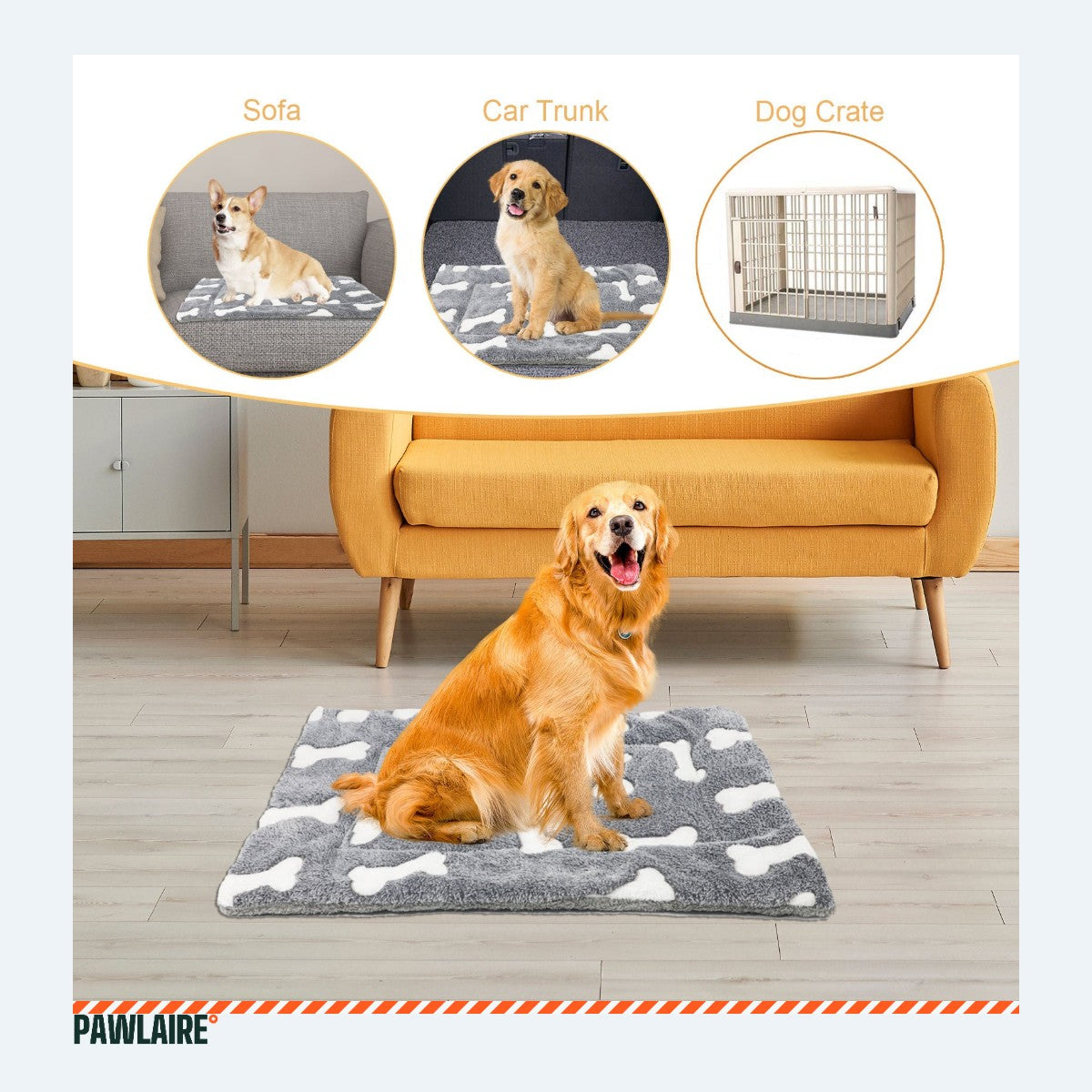 Chien couché sur le tapis en molleton
